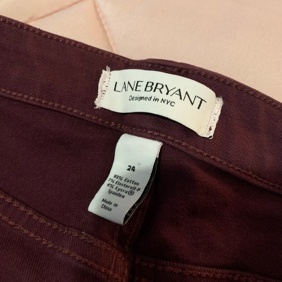 Wine Skinny Jeans - Picture 3 of 5
